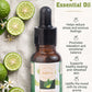 THE BERGAMOT ESSENTIAL OIL
