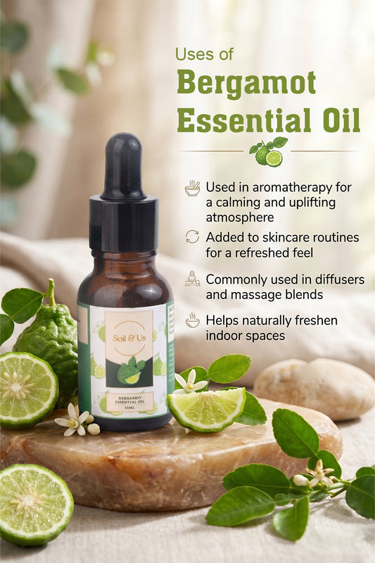 THE BERGAMOT ESSENTIAL OIL