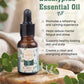 THE EUCALYPTUS ESSENTIAL OIL