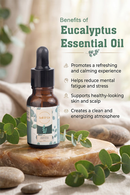 THE EUCALYPTUS ESSENTIAL OIL
