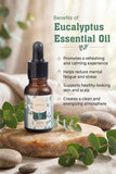 THE EUCALYPTUS ESSENTIAL OIL