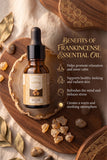THE FRANKINCENSE ESSENTIAL OIL
