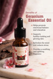 THE GERANIUM ESSENTIAL OIL