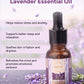 THE LAVENDER ESSENTIAL OIL
