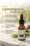 THE LEMONGRASS ESSENTIAL OIL