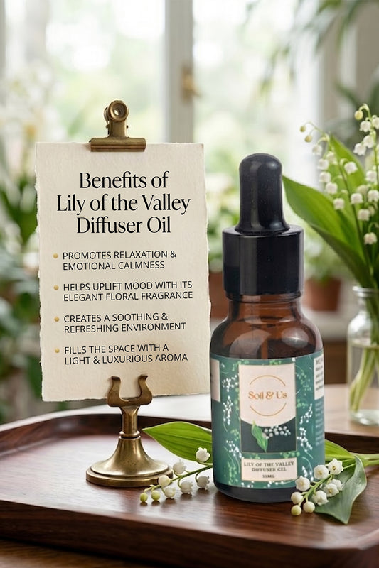 LILY OF THE VALLEY DIFFUSER OIL