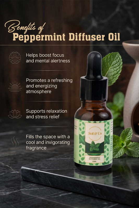PEPPERMINT DIFFUSER OIL