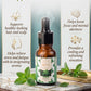 THE PEPPERMINT ESSENTIAL OIL
