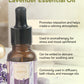 THE LAVENDER ESSENTIAL OIL