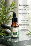 THE TEA TREE ESSENTIAL OIL