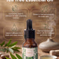 THE TEA TREE ESSENTIAL OIL